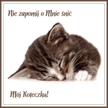 Nie zapomnij o mnie śnić mój koteczku